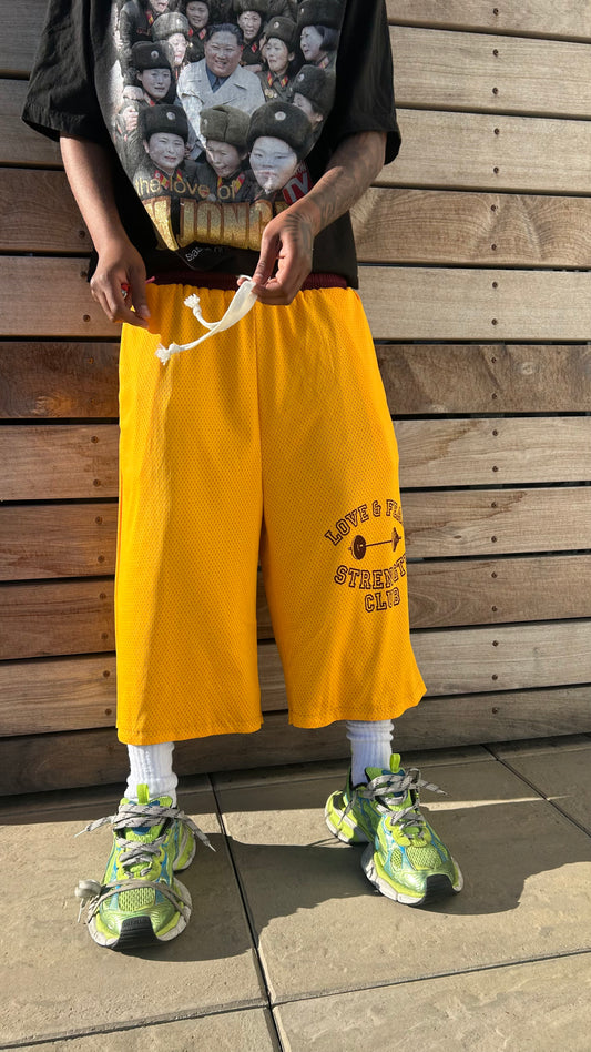'Burgundy Gold" Reversible Mesh Shorts